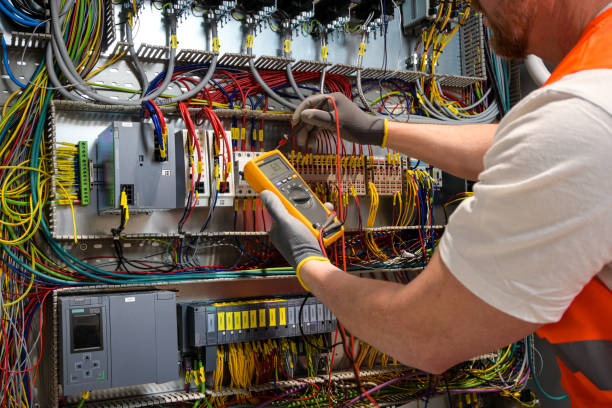 Best Electrical Troubleshooting Services  in Palmetto Estates, FL